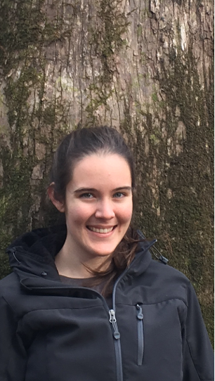 Sarah Sharkey